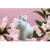 Witte ezelzeep